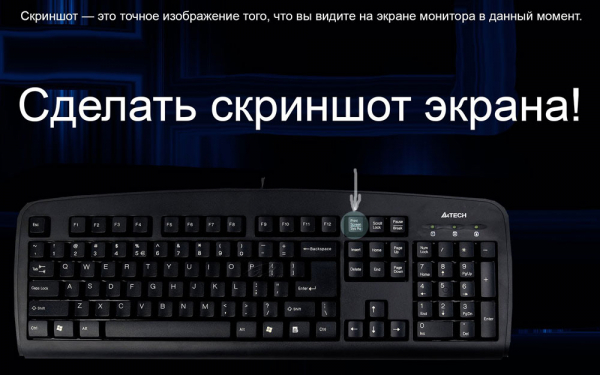 Установка картинок в документах Microsoft Word