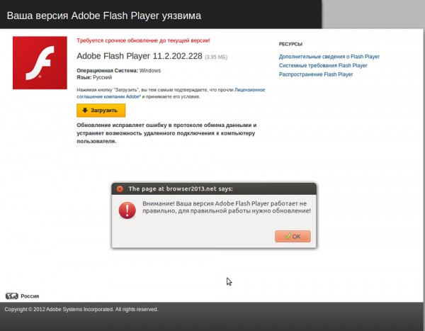 Установка и обновление Adobe Flash Player