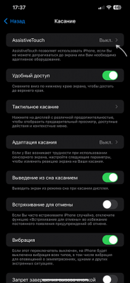 Как включить или убрать кнопку Домой на экране iPhone