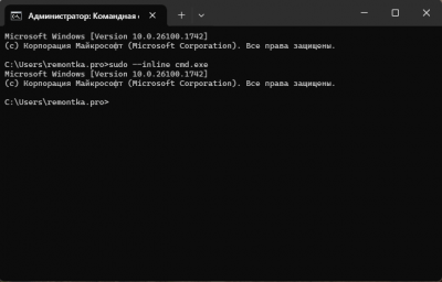 Команда Sudo в Windows 11